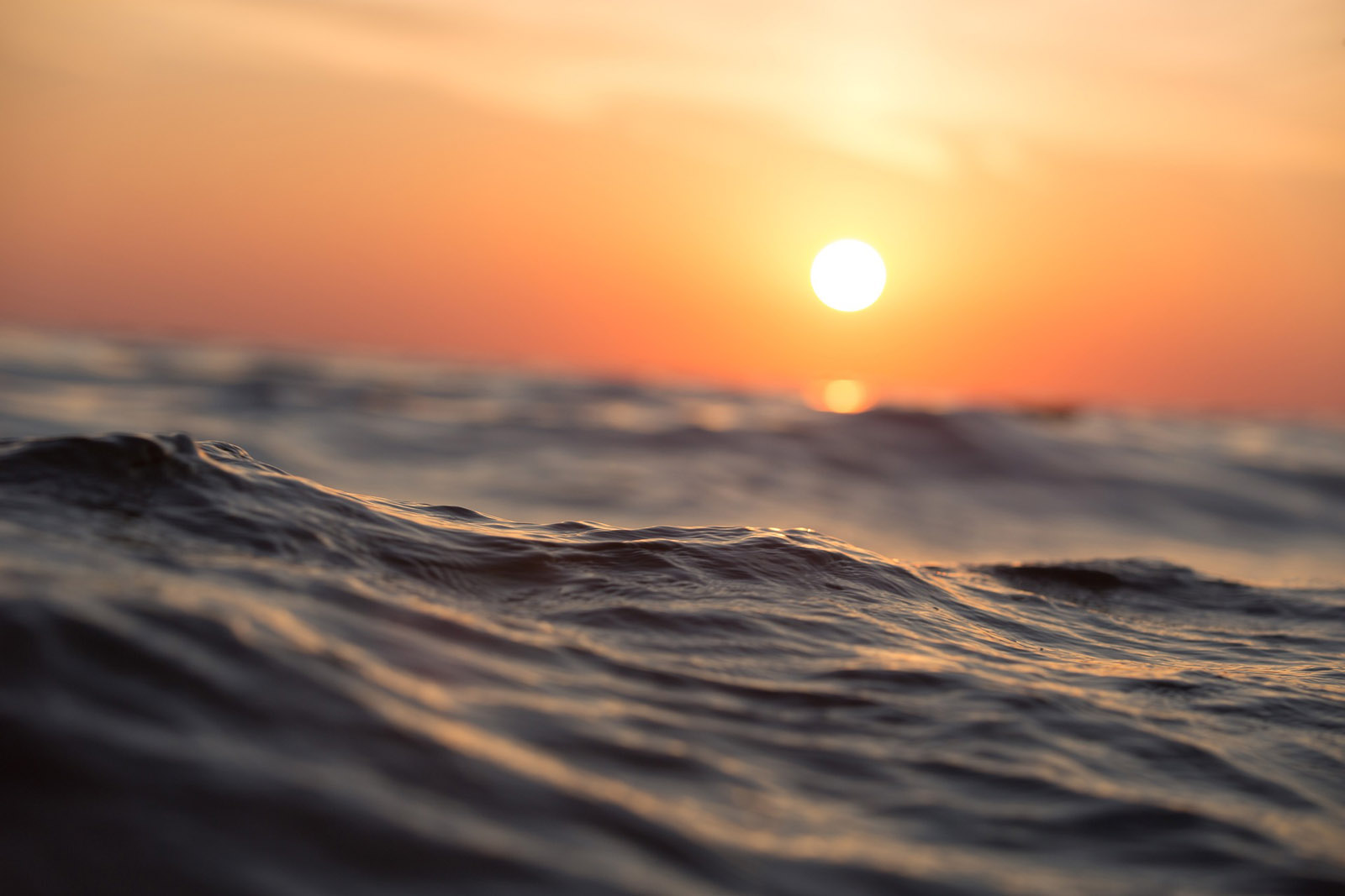 Wave